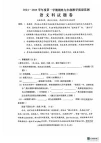 广东省揭阳市普宁市2024-2025学年九年级上学期1月期末考试语文试题