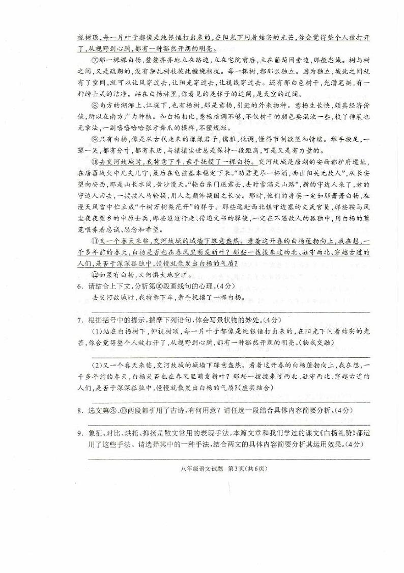河南省驻马店市平舆县2024-2025学年八年级上学期期末学情测评语文试卷第3页
