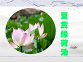 第2课《济南的冬天》课件-统编版语文七年级上册
