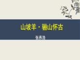 部編版九下語(yǔ)文第六單元課外古詩(shī)之《三坡羊 驪山懷古》 同步課件