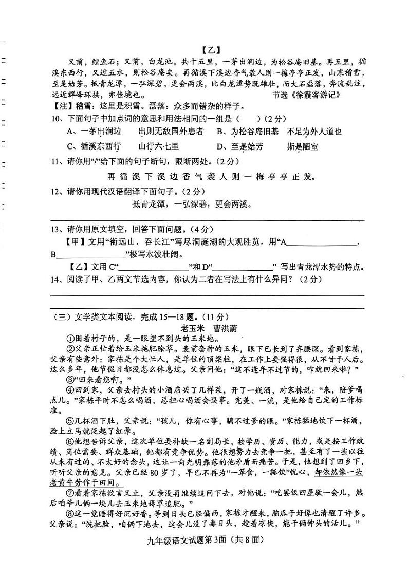 湖北省襄阳市南漳县2024-2025学年九年级上学期期末考试语文试题第3页