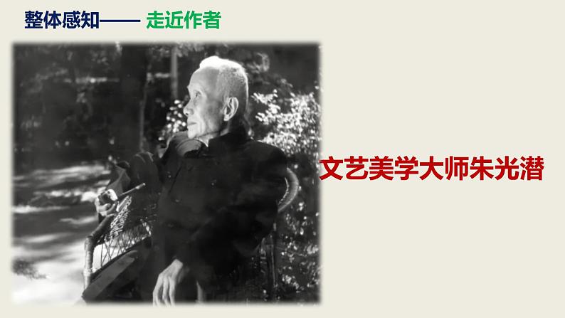 部编版九下语文第15课《无言之美》同步课件第6页