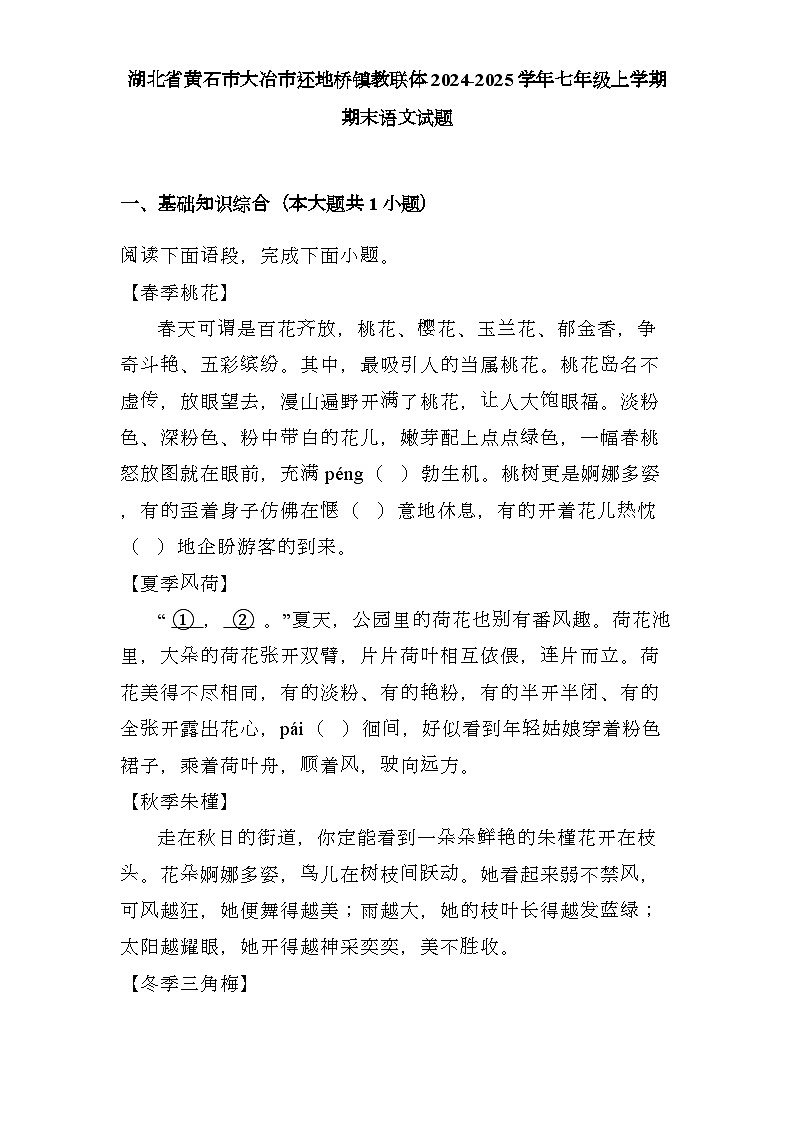 湖北省黄石市大冶市还地桥镇教联体2024-2025学年七年级上学期期末 语文试题（含解析）第1页