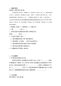 吉林省延边州2024-2025学年七年级上学期期末 语文试题（含解析）