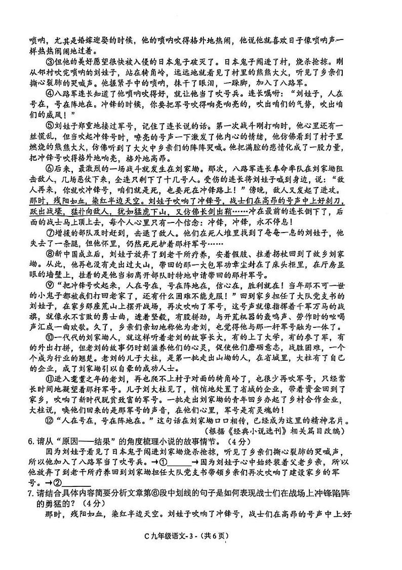 河南省驻马店市确山县2024-2025学年九年级上学期期末素质测试语文试卷第3页