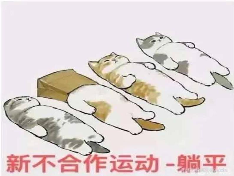 中考语文满分作文课件《贴地而行》第2页