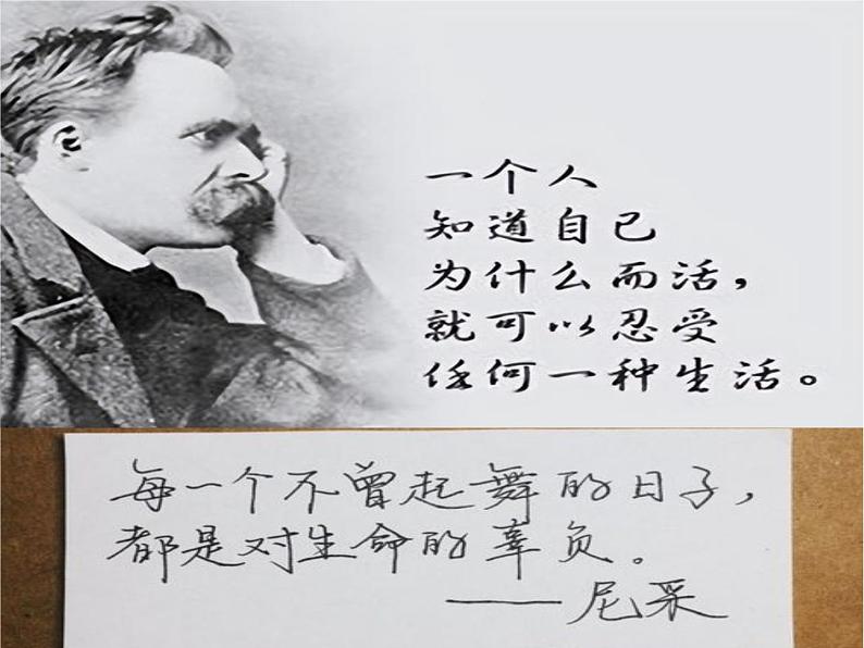 中考语文满分作文课件《贴地而行》第5页