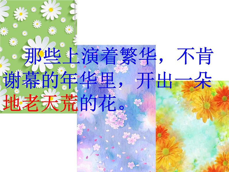 中考语文作文课件《走着走着，花就开了》第3页