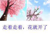 中考语文作文课件《走着走着，花就开了》