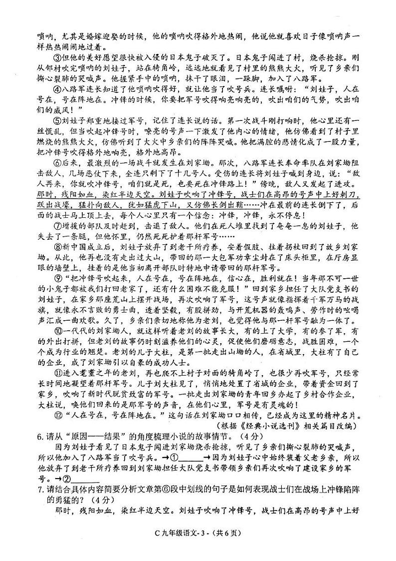 河南省驻马店市确山县部分私立初中期末联考2024-2025学年九年级上学期期末语文试卷第3页
