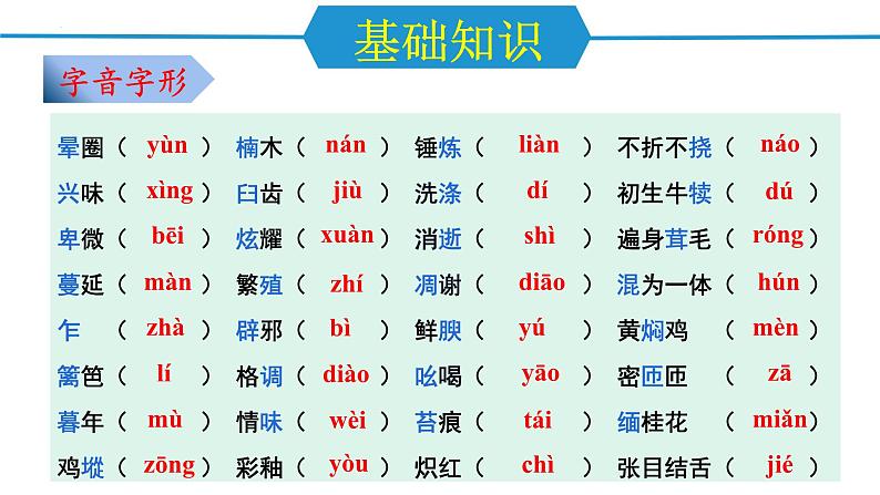 第四单元（单元复习课件）-八年级语文上册同步高效课堂（统编版）第3页