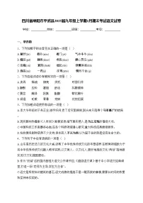 四川省绵阳市平武县2025届九年级上学期1月期末考试语文试卷(含答案)