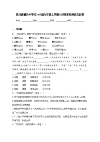 四川省射洪中学校2025届九年级上学期12月期末模拟语文试卷(含答案)