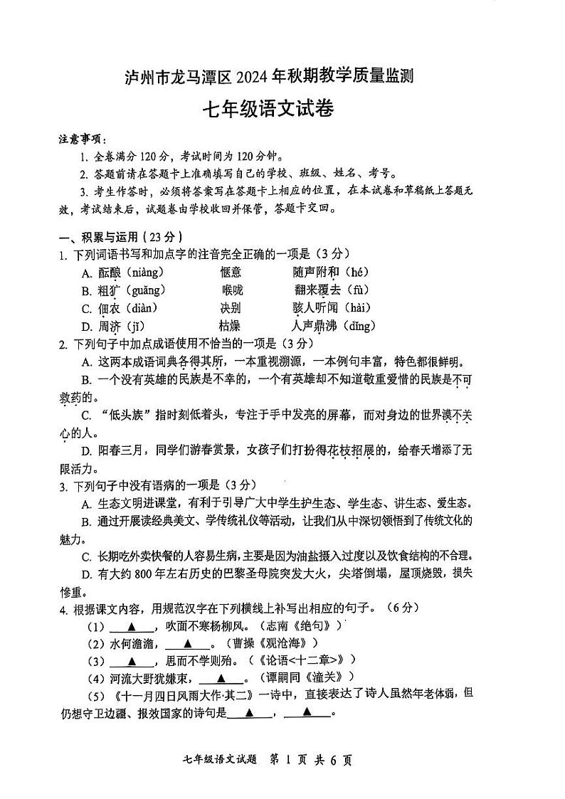 四川省泸州市龙马潭区2024-2025学年七年级上学期期末语文试卷第1页