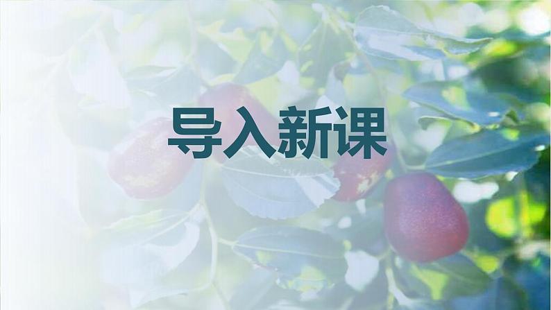 部编版九下语文第18课《枣儿》同步课件第2页