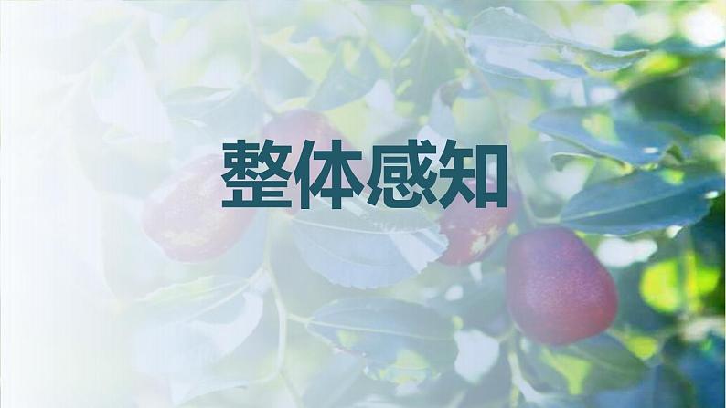 部编版九下语文第18课《枣儿》同步课件第4页