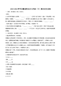 2023-2024学年安徽省淮北市七年级（下）期末语文试卷（含详细答案解析）