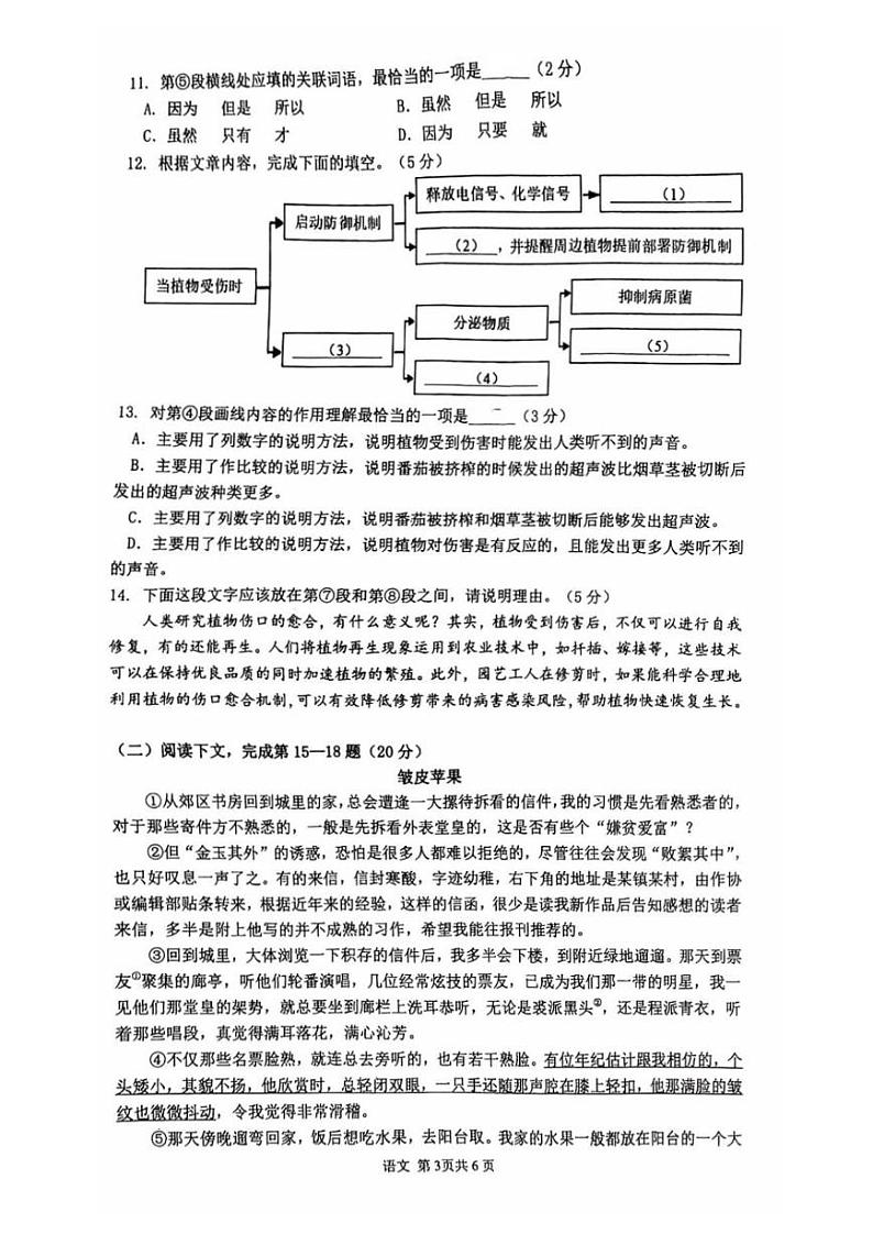 2025届上海市奉贤区初三一模语文试卷第3页