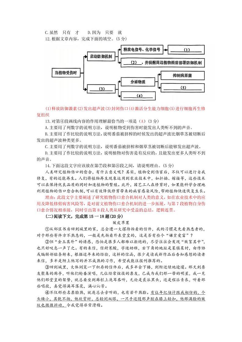 2025届上海市奉贤区初三一模语文试卷及答案第3页
