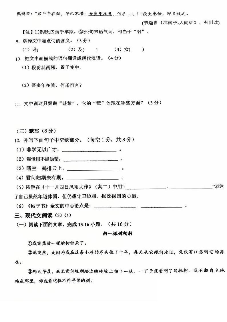 江西南昌二十八中教育集团2024-2025学年七年级上学期期末考试语文试题第3页