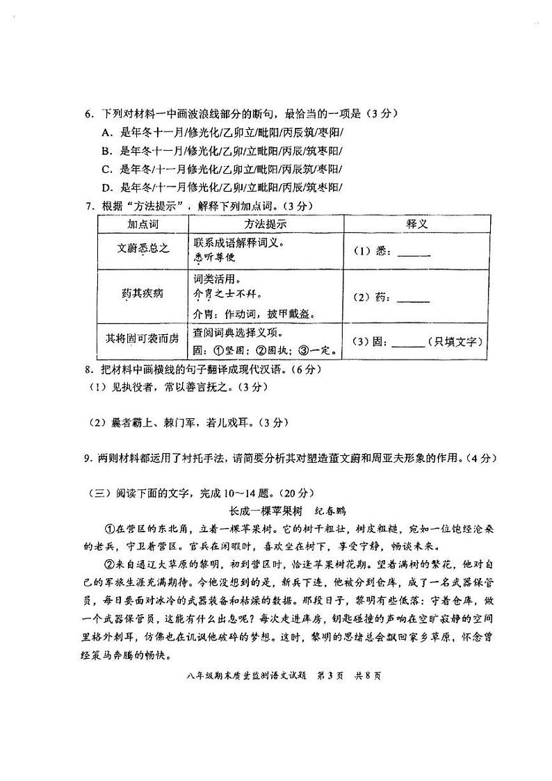 福建省泉州市福建师范大学泉州附属中学2024-2025学年八年级上学期期末考试语文试题第3页