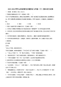 2023-2024学年山东省青岛市城阳区七年级（下）期末语文试卷（含详细答案解析）