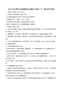 2023-2024学年山东省青岛市市南区七年级（下）期末语文试卷（含详细答案解析）