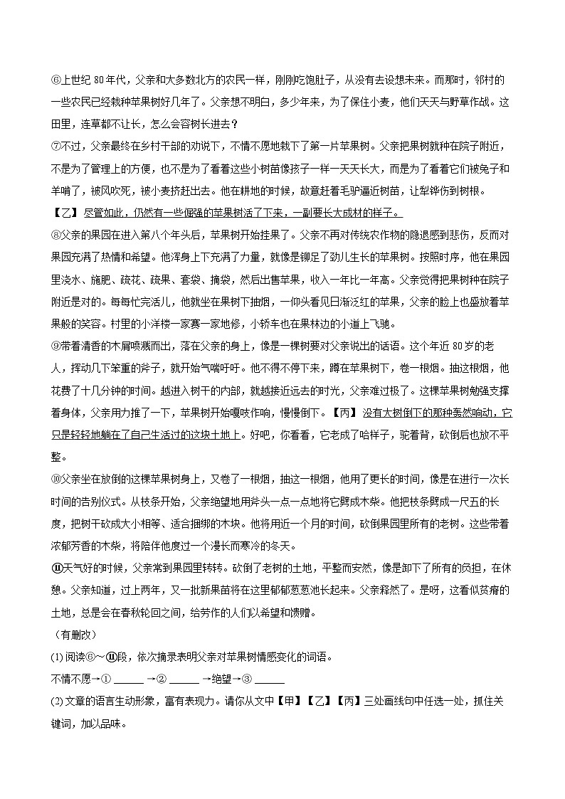 2023-2024学年河南省洛阳市新安县七年级（下）期末语文试卷（含详细答案解析）第3页