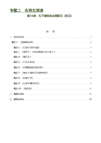 中考语文一轮复习第14讲 九下课标古诗词复习（练习）-2024年中考语文一轮复习讲练测（全国通用）（解析版）