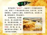 人教部编版初中语文七年级下册 《5.黄河颂》课件+教案