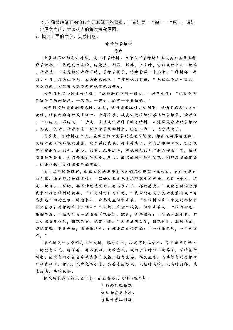 吉林省长春市南关区2024-2025学年七年级（上）期末语文试卷第3页