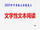 2025年中考语文专题复习：文学性文本阅读 课件
