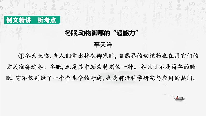 2025年中考语文专题复习：说明文阅读 课件第3页