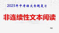 2025年中考语文专题复习:非连续性文本阅读 课件