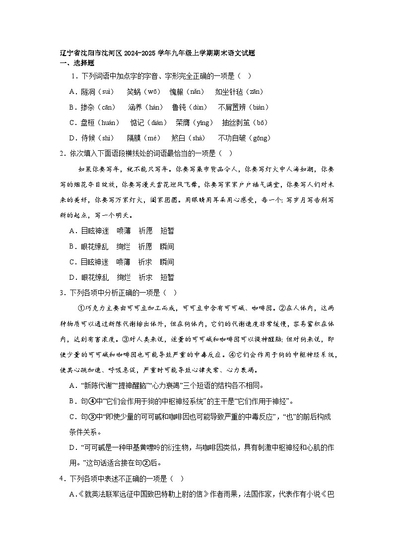 辽宁省沈阳市沈河区2024-2025学年九年级上学期期末语文试题第1页