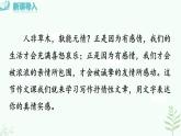 【人教部编版】七下语文 第二单元 写作  学习抒情  课件+教案