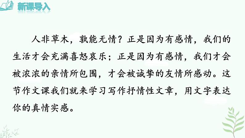 写作  学习抒情第1页