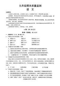 四川省成都市青羊区2024-2025学年九年级上学期期末考试 语文试卷