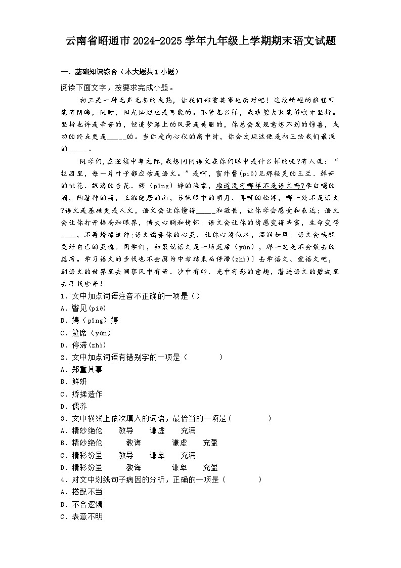 云南省昭通市2024-2025学年九年级上学期期末语文试题第1页