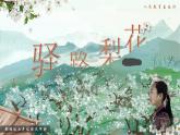 部編版2025春七年級下冊語文14.驛路梨花 課件