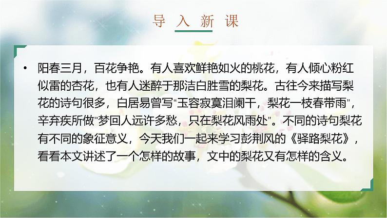 部编版2025春七年级下册语文14.驿路梨花 课件第3页
