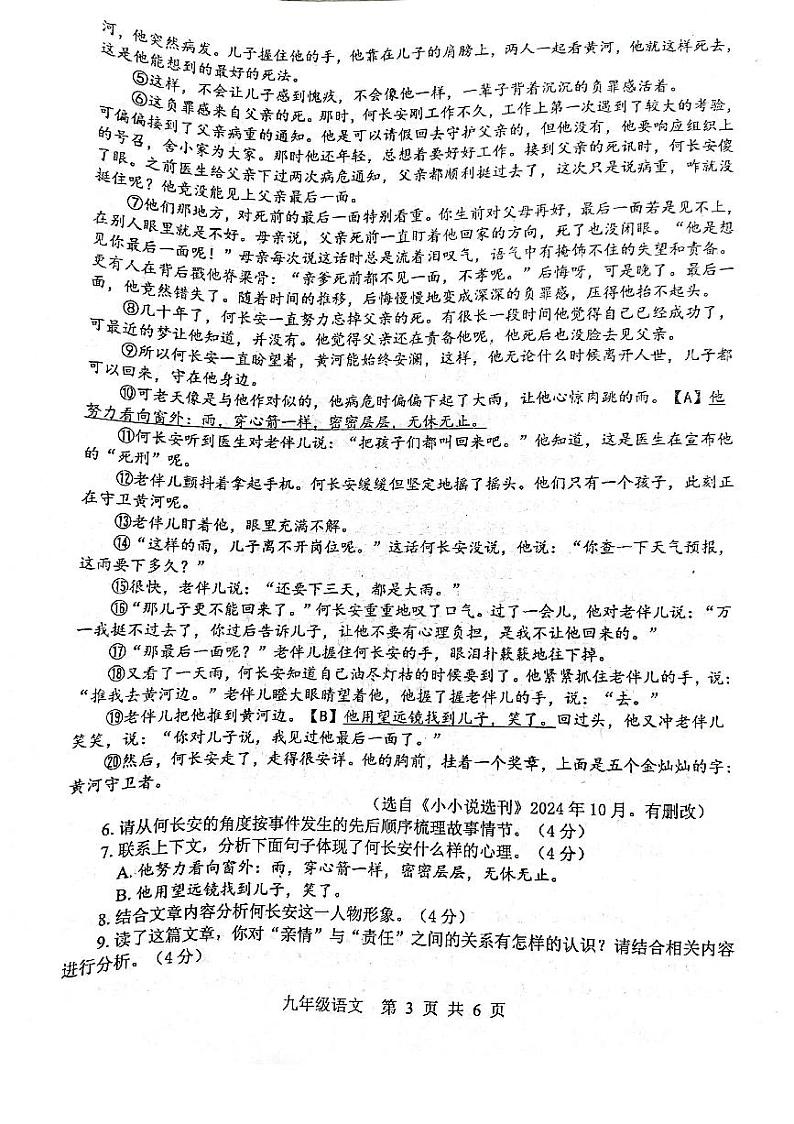 平顶山市2024-2025学年九年级上学期期末调研语文试卷及答案第3页