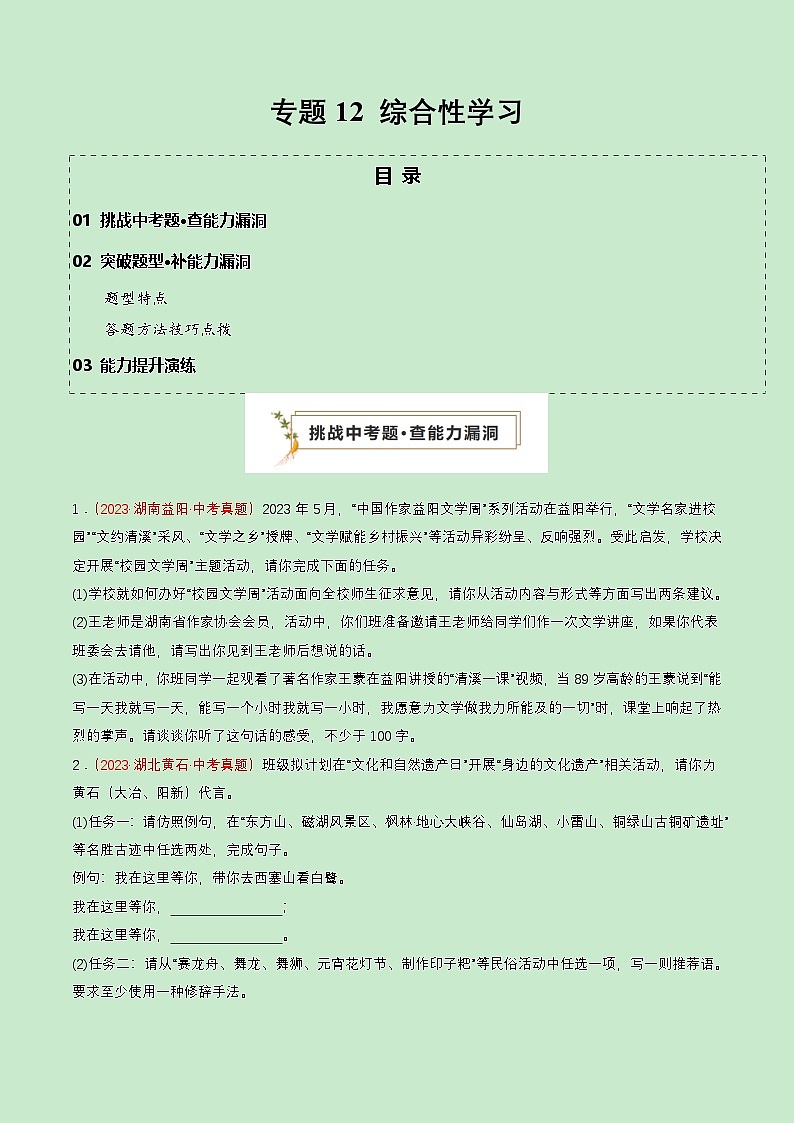 专题12 综合性学习（查补能力·提升练）（原卷版）第1页