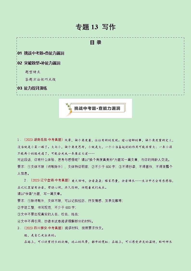 专题13 写作（查补能力·提升练）（原卷版）第1页