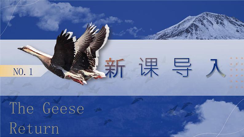 部编版2024春八年级语文下册7.大雁归来 课件第3页