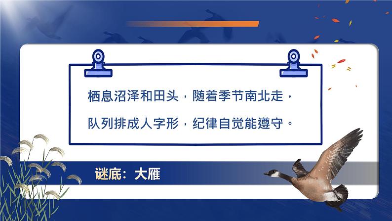 部编版2024春八年级语文下册7.大雁归来 课件第4页
