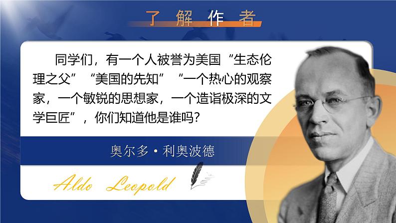 部编版2024春八年级语文下册7.大雁归来 课件第7页