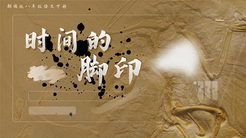 部编版2024春八年级语文下册8.时间的脚印 课件第1页