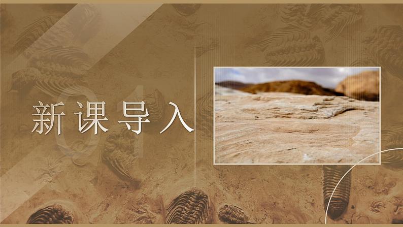 部编版2024春八年级语文下册8.时间的脚印 课件第3页