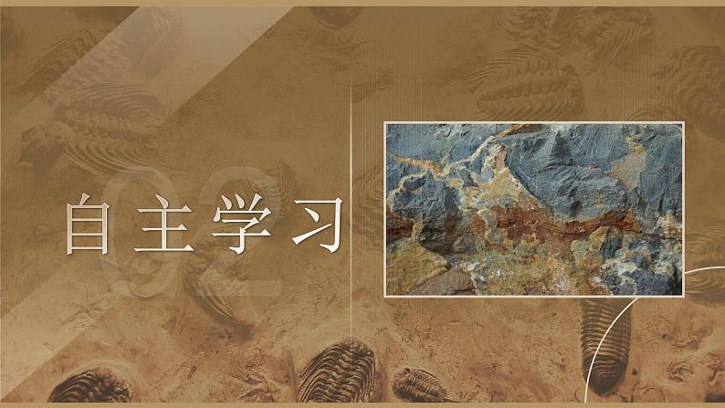 部编版2024春八年级语文下册8.时间的脚印 课件第6页